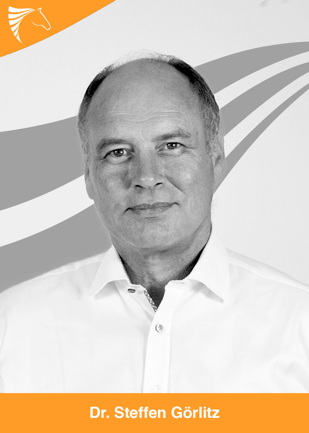 Dr. Steffen  Görlitz